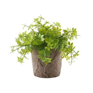 মিনি বনসাই কৃত্রিম কৃত্রিম বনসাই অস্ট্রেলিয়া বিক্রয়ের জন্য