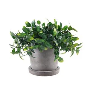 ছোট বাগান উদ্ভিদ কৃত্রিম পোটেড উদ্ভিদ